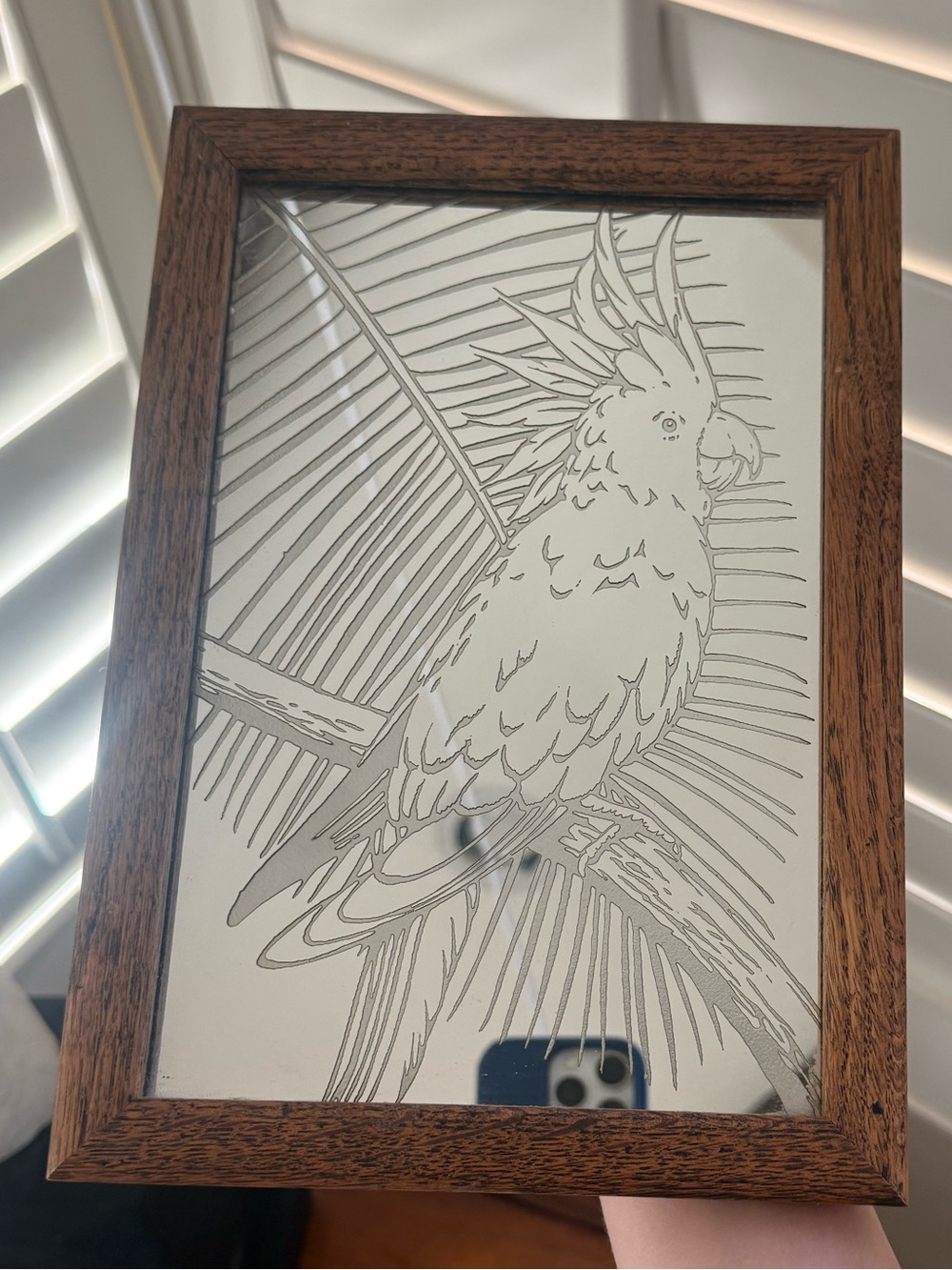 Framed Cockatoo Bird Etched Acrylic in Brown Wood Frame